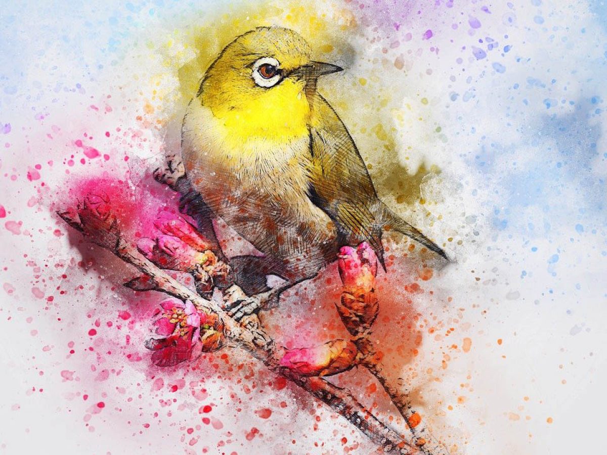 Cómo pintar animales y plantas? Cómo pintar animales y plantas?