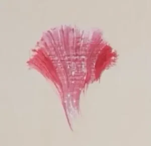 Dibujar pétalos clavel