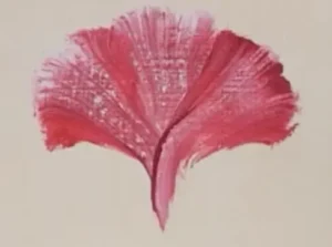 pintar petalos clavel