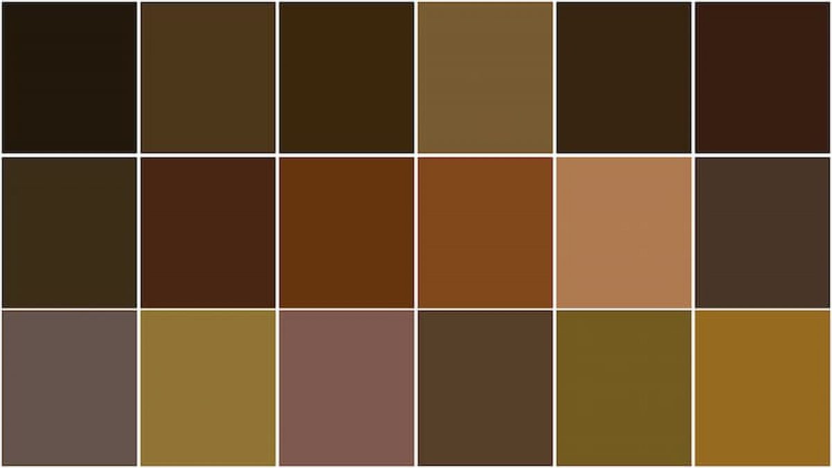 Como Formar El Color Marron Cómo Hacer el Color Marrón? | Arteescuela.com