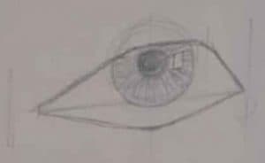 Dibujar pupila y el Iris de un ojo