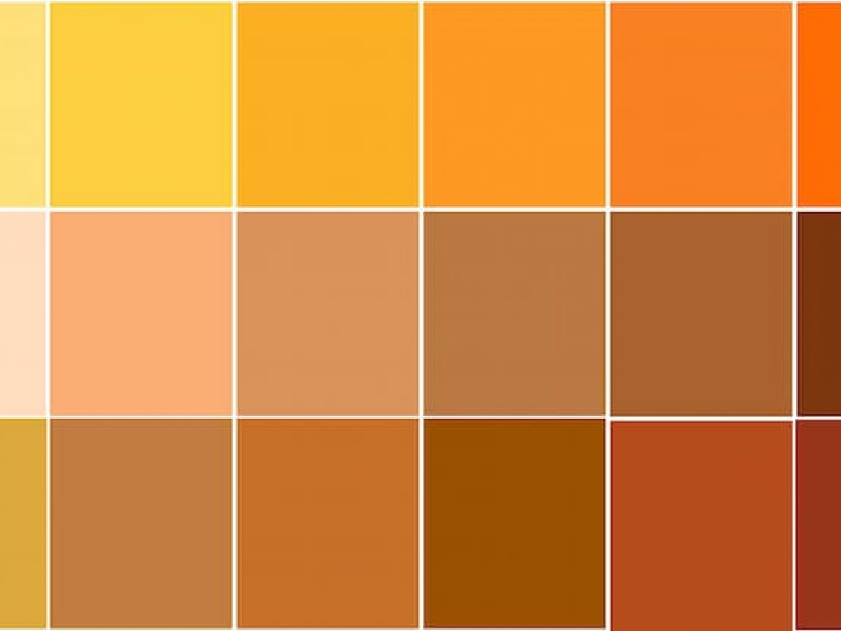 ? Cómo se Hace el Color Naranja | Aprender con ArteEscuela