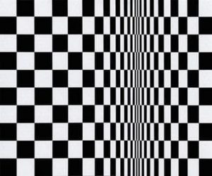 Movimiento en cuadrados. Bridget Riley. 1961