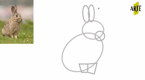 como dibujar un conejo
