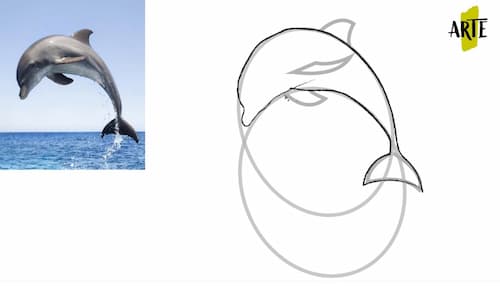 como dibujar un delfín