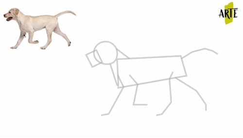 ✓ Como Dibujar un Perro Paso a Paso | 👉