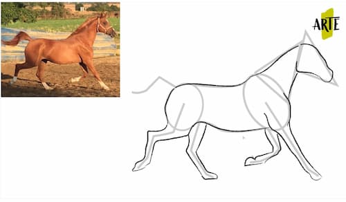 dibuajr un caballo paso a paso