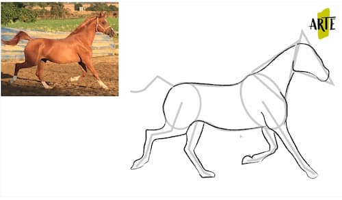 ✓ Como Dibujar un Caballo Paso a Paso | 👉