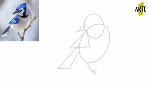 ✓ Como Dibujar un Pájaro Paso a Paso | ????