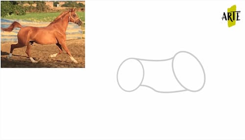 dibujar un caballo paso a paso