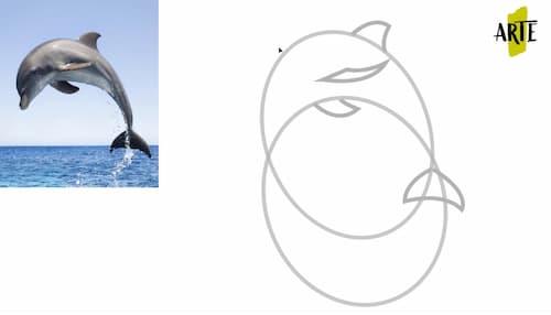 dibujar un delfin por pasos