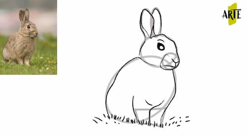 ✓ Como Dibujar un Conejo Paso a Paso | ????