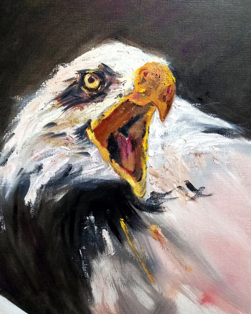 Trabajos de los alumnos Estudio pictórico de un águila realizado por alumnado de ArteEscuela