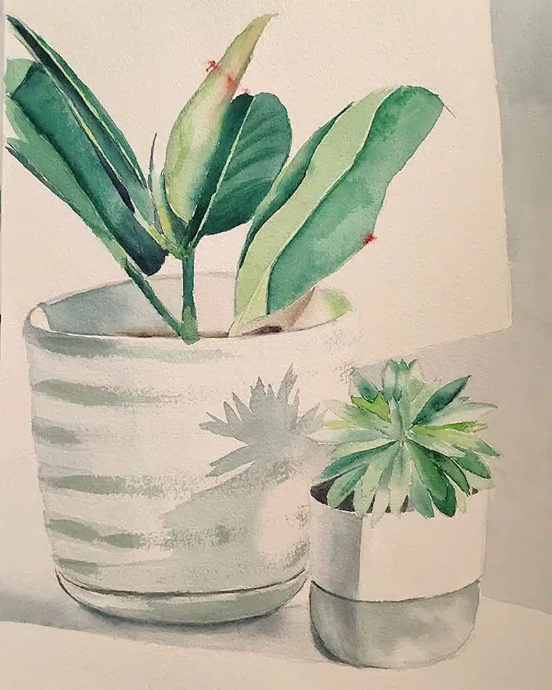 Trabajos de los alumnos Estudio de formas vegetales realizado por alumnado de ArteEscuela
