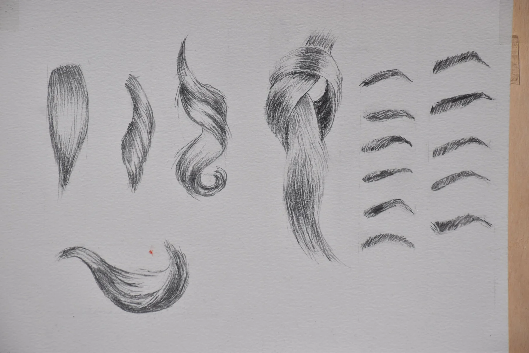 Trabajos de los alumnos Estudio de cabello y cejas dibujado por alumnado de ArteEscuela