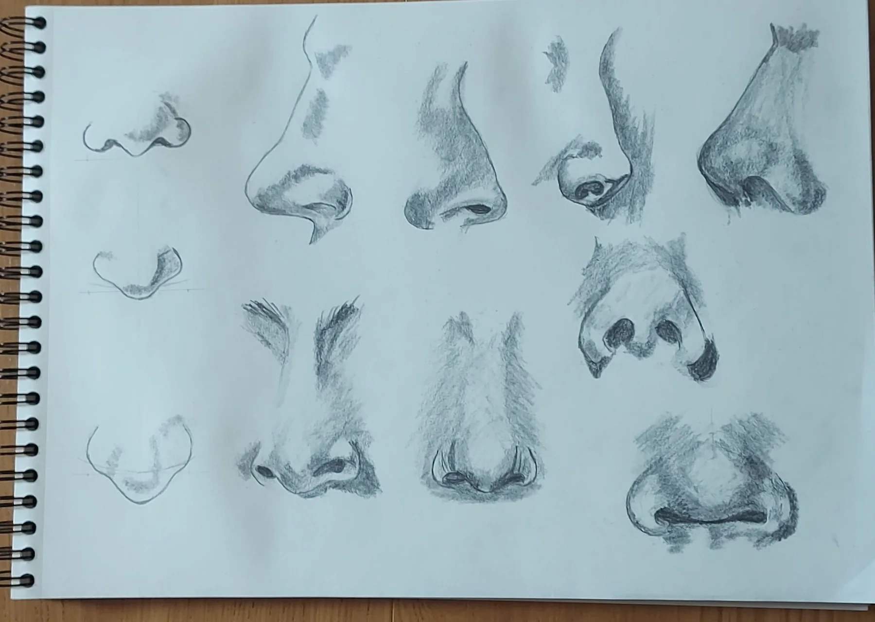 Trabajos de los alumnos Lámina de estudios anatómicos de narices realizada por alumnado de ArteEscuela