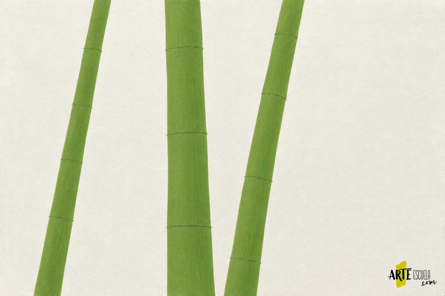 Tres tallos de bambú con base verde y marcas suaves para situar los nudos