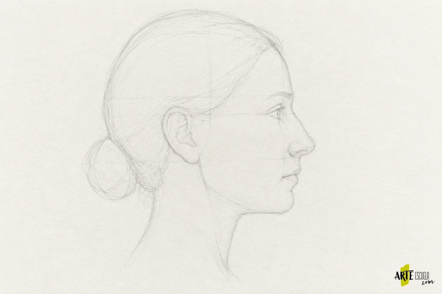 Encaje de una cabeza de perfil con cráneo, mandíbula, oreja y arranque del cuello