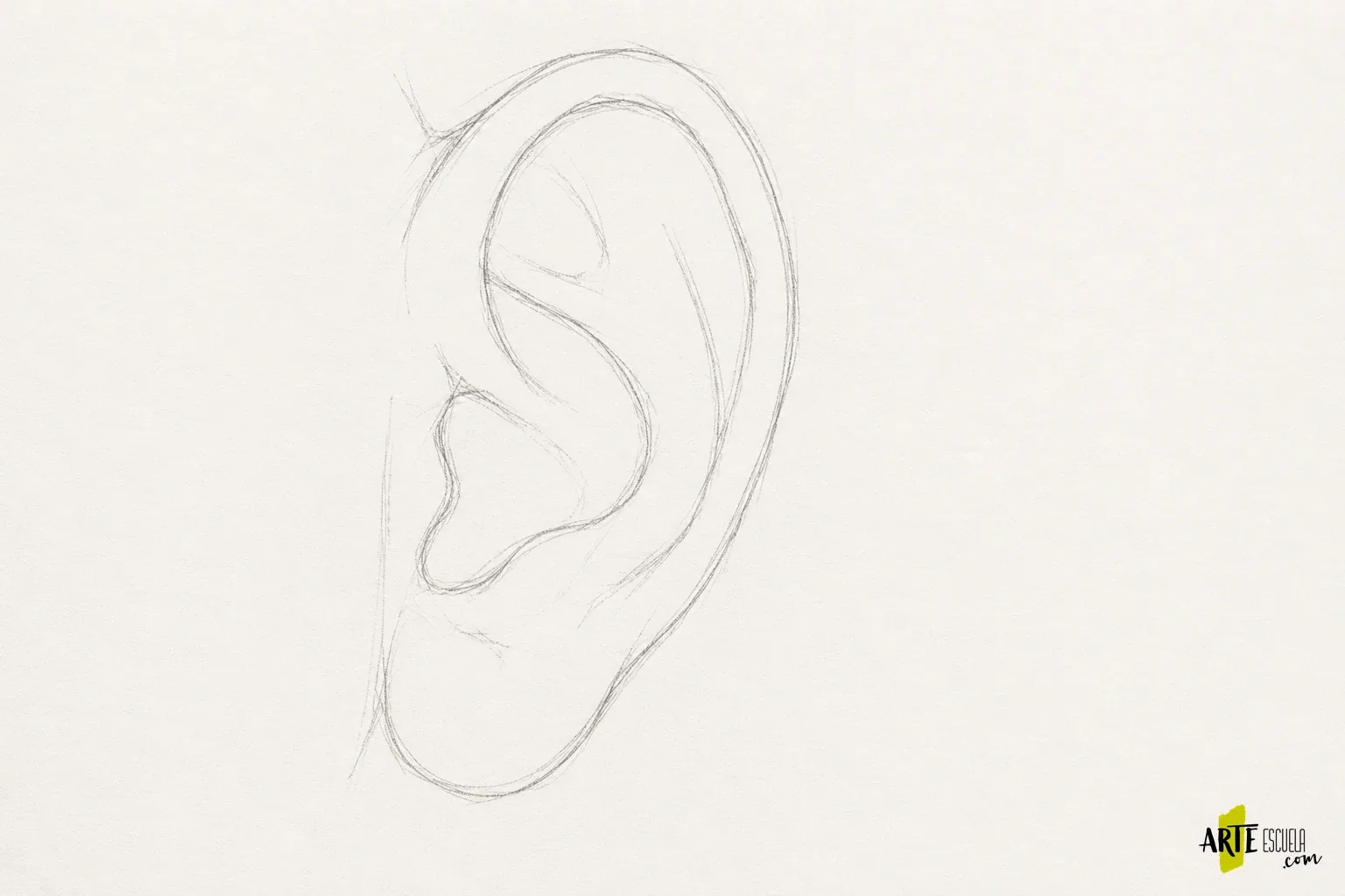 Cómo dibujar orejas de frente y de perfil: relieve antes que detalle Encaje a lápiz de una oreja de perfil con reborde exterior, concha y lóbulo simplificados