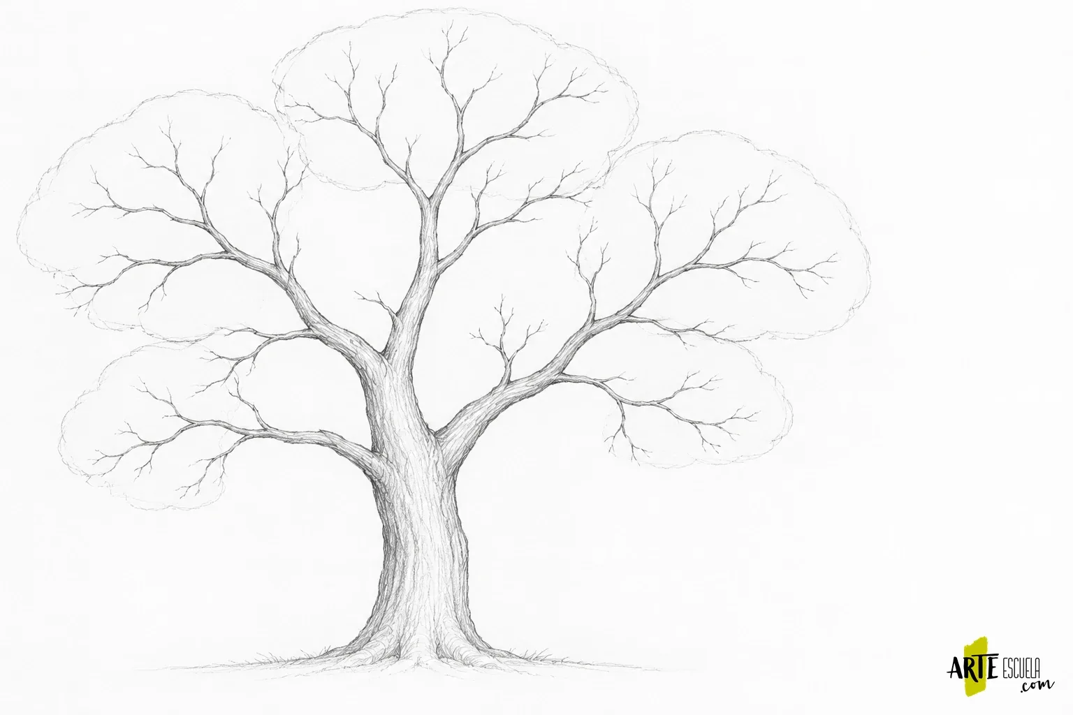 Cómo dibujar un árbol realista a lápiz: tronco, ramas y masas de follaje Estructura a grafito de un árbol con tronco, ramas afinadas y envolventes suaves de la copa