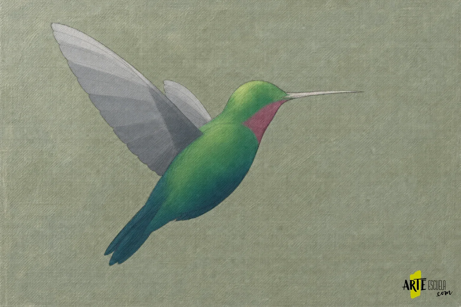 Colibrí con cuerpo verde, garganta magenta y alas grises resueltas en masas de luz y sombra