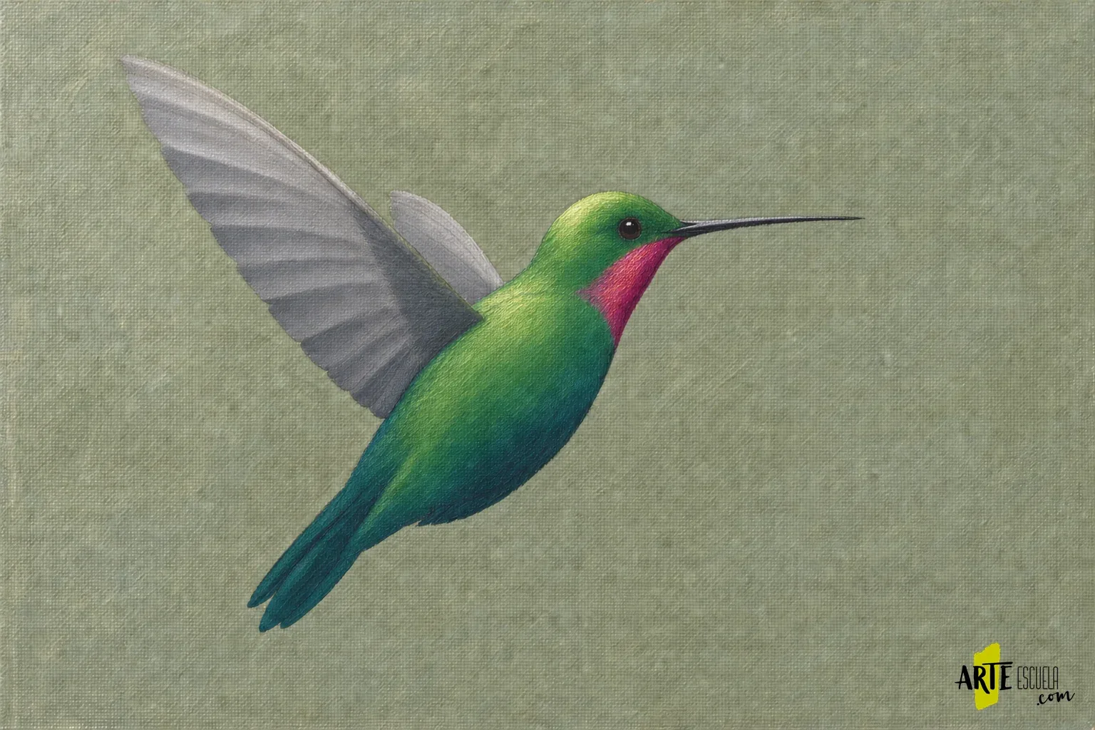 Colibrí verde de perfil con garganta magenta, pico fino y marcas seleccionadas de plumas en las alas
