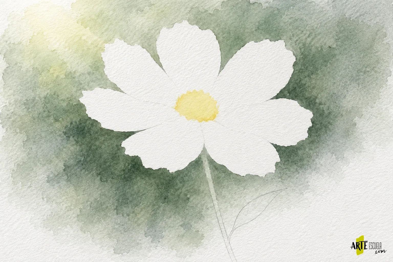 Cómo pintar flores blancas con acuarela sin utilizar el blanco para todo Reserva blanca de una flor rodeada por un fondo verde grisáceo en acuarela