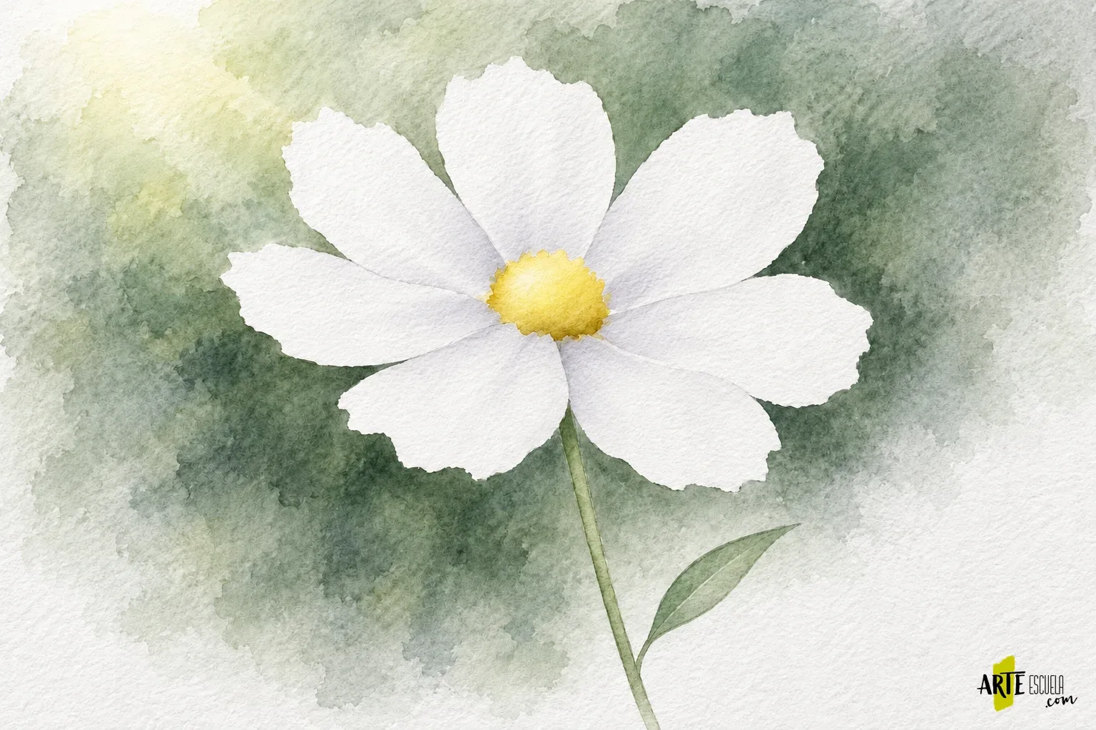 Cómo pintar flores blancas con acuarela sin utilizar el blanco para todo Flor blanca en acuarela con sombras gris violáceas suaves, centro amarillo y tallo verde