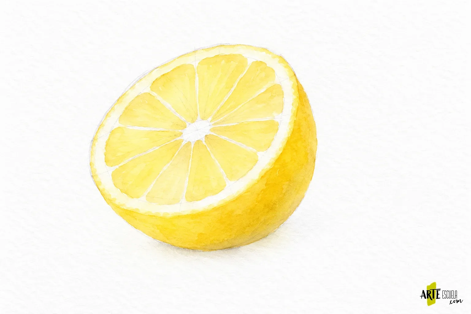 Cómo pintar frutas con acuarela: un limón cortado paso a paso Lavado inicial de medio limón en acuarela con gajos amarillos claros y membranas reservadas en blanco
