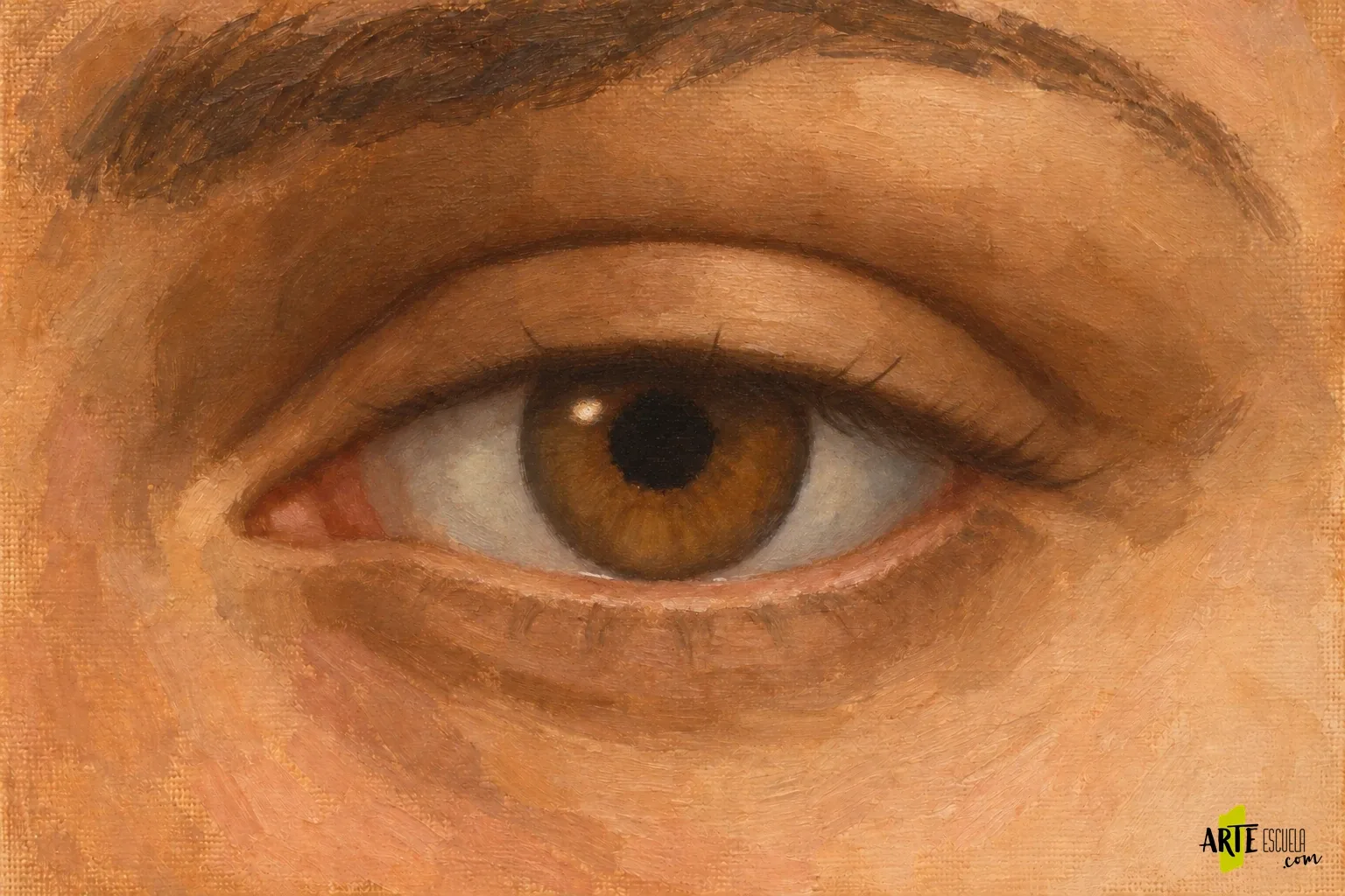 Cómo pintar ojos al óleo: córnea, párpados y humedad Ojo castaño terminado al óleo con reflejo pequeño, línea húmeda interrumpida y pestañas agrupadas