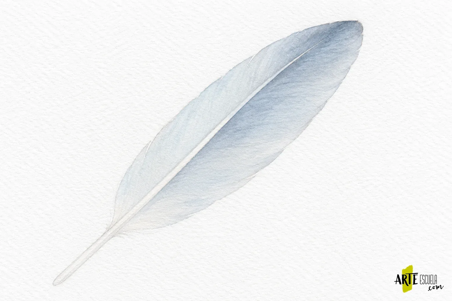 Cómo pintar una pluma con acuarela: eje, barbas y bordes ligeros Primera mancha azul grisácea de una pluma diagonal, con una reserva clara junto al eje central