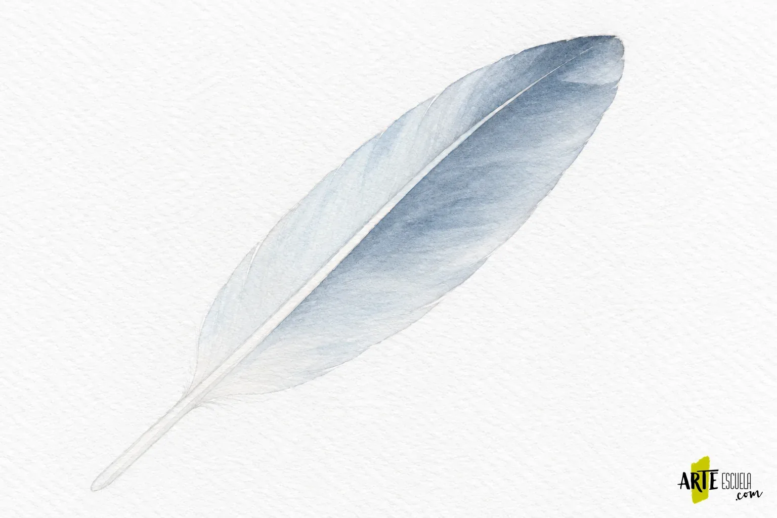 Cómo pintar una pluma con acuarela: eje, barbas y bordes ligeros Pluma con una segunda capa azul grisácea, bandas transparentes y direcciones oblicuas hacia el borde