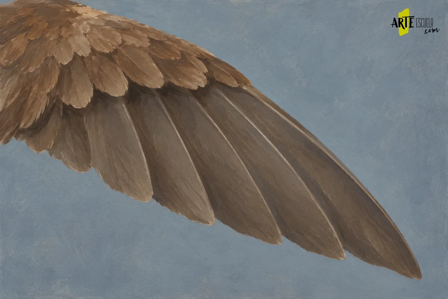 Cómo pintar plumas con acrílico: agrupar antes de detallar Fragmento de ala en acrílico bloqueado en dos bandas pardas con la dirección de las plumas largas indicada