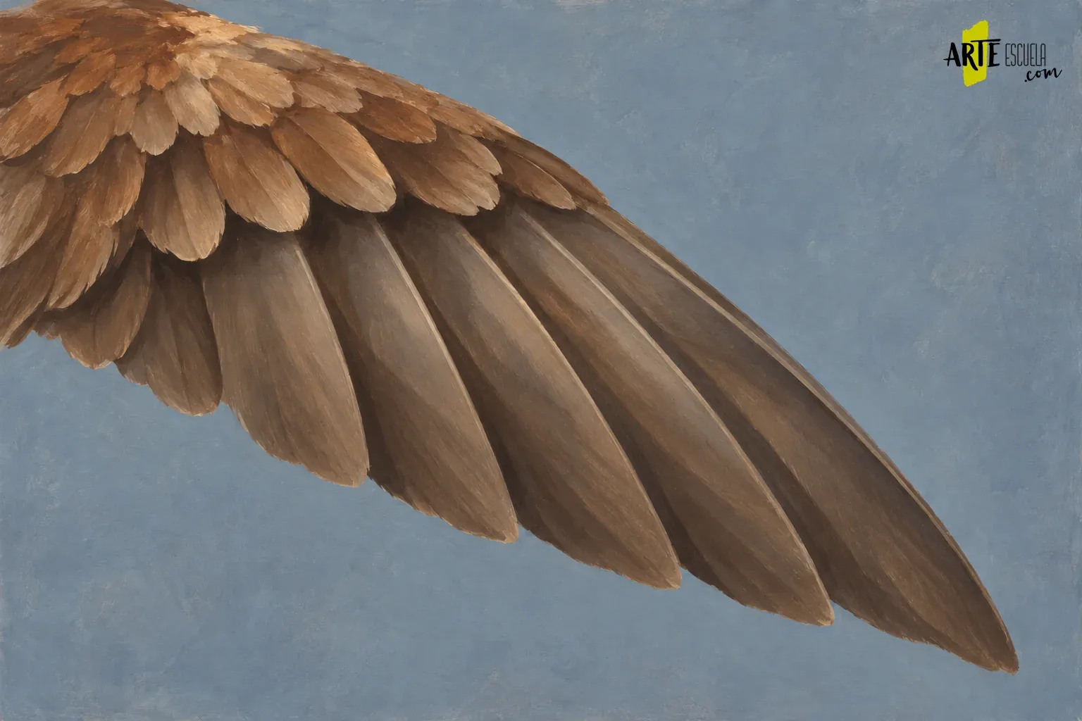 Cómo pintar plumas con acrílico: agrupar antes de detallar Ala parda con grupos de plumas cortas y largas separados mediante solapes y luces coherentes