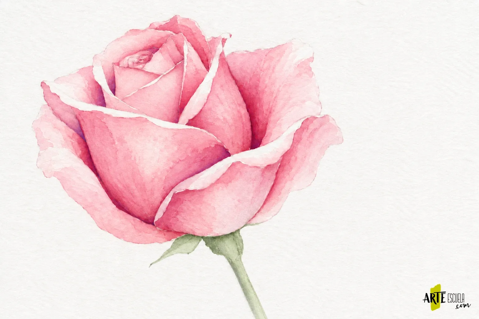 Cómo pintar una rosa con acuarela: pétalos superpuestos sin perder la luz Rosa rosada terminada con acentos profundos en los solapes y tallo verde suave