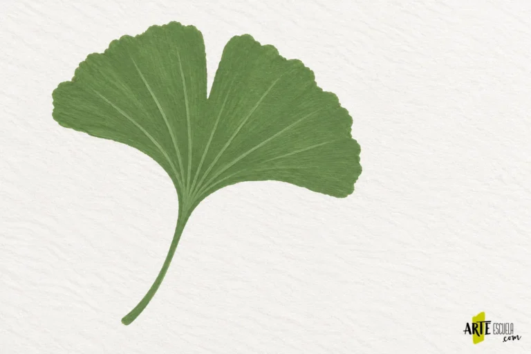 Hoja de ginkgo en gouache verde mate con cobertura contenida y líneas claras sobre la base