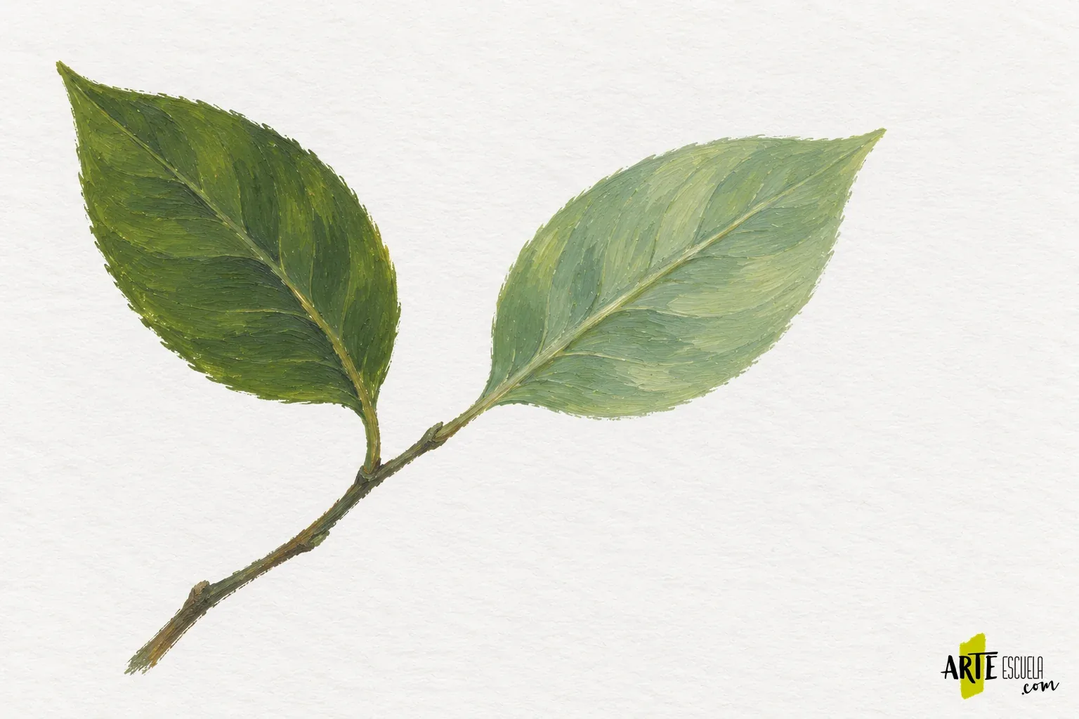 Pinturas monopigmento y mezclas: por qué dos colores del mismo nombre no se comportan igual Pequeña rama pintada con una hoja verde profunda y otra más clara para aplicar las mezclas comparadas